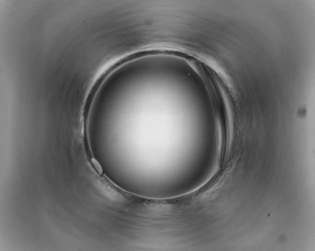 X0000091301372200708101259