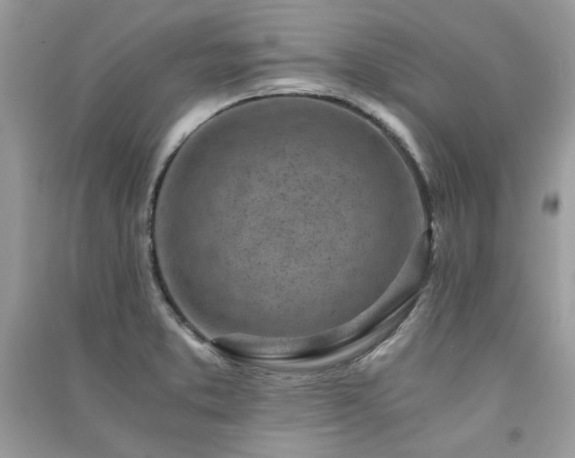 X0000091301373200708101259