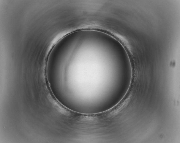 X0000091301374200708101259