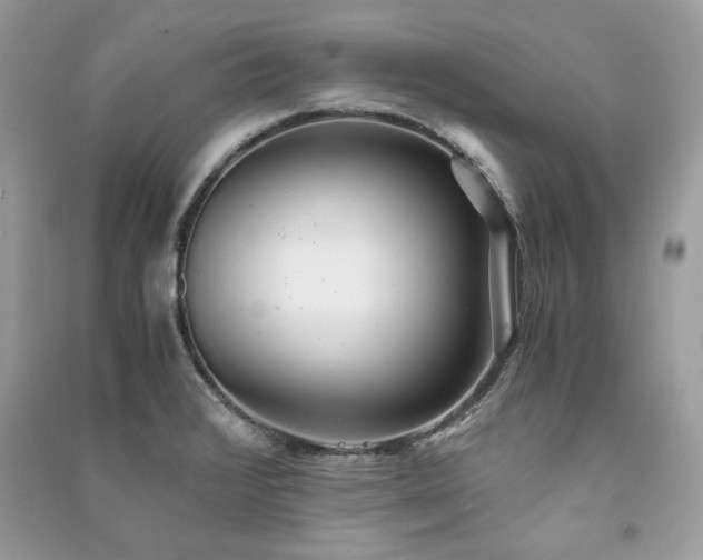 X0000091301376200708101259