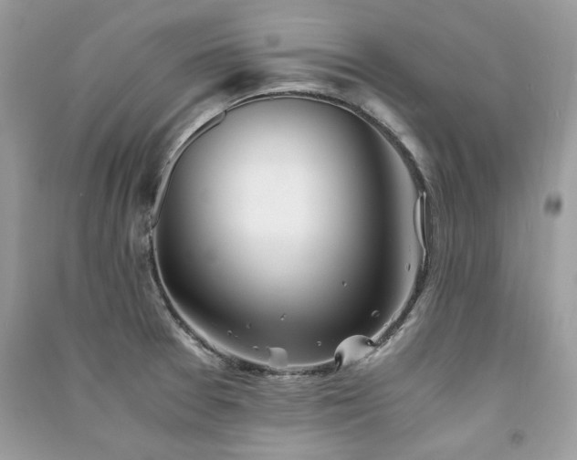 X0000091301377200708101259