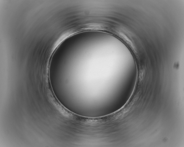 X0000091301378200708101259