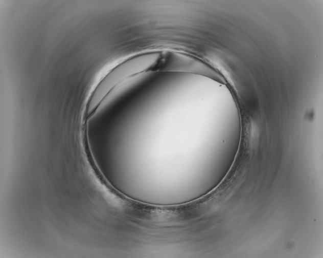 X0000091301379200708101259