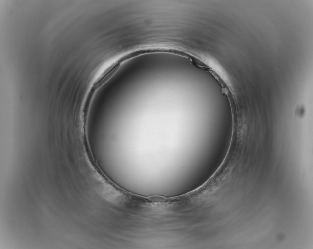 X0000091301380200708101259