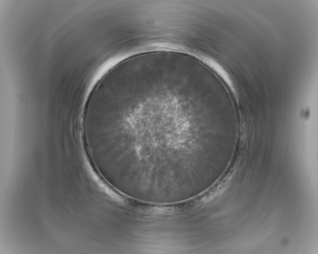 X0000091301381200708101259