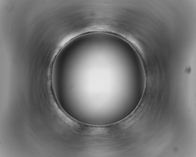 X0000091301382200708101259