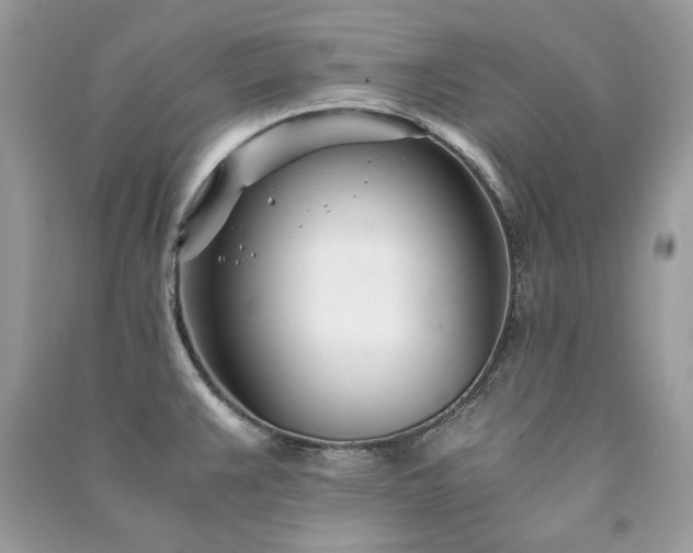 X0000091301383200708101259
