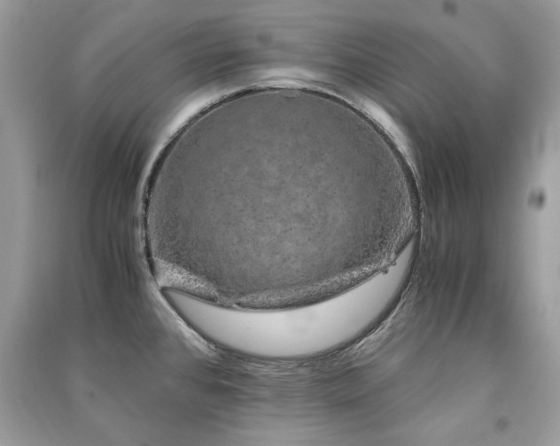 X0000091301384200708101259