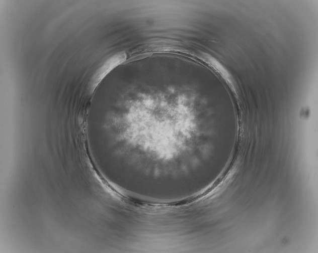 X0000091301385200708101259