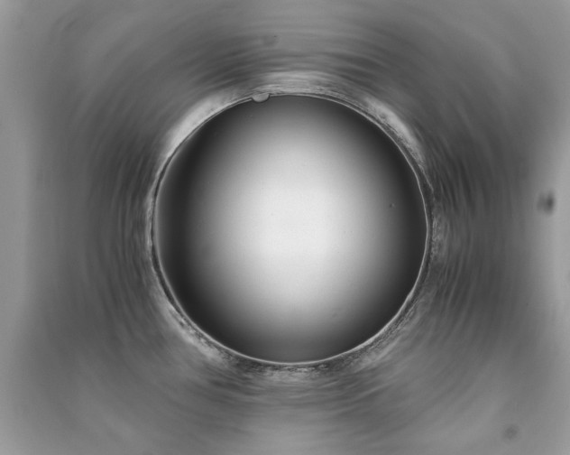 X0000091301386200708101259