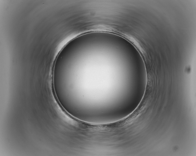X0000091301387200708101259