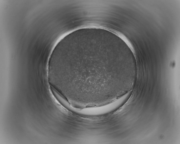 X0000091301388200708101259