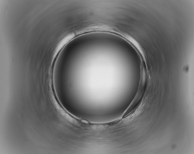 X0000091301389200708101258