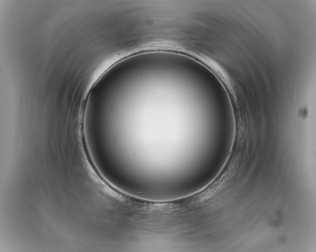 X0000091301390200708101258