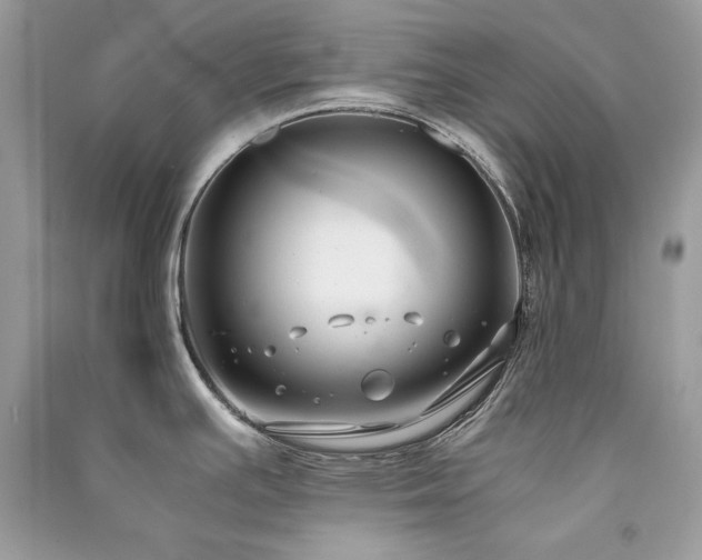 X0000091301391200708101258