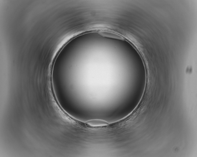X0000091301392200708101258