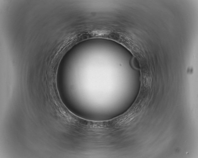 X0000091301393200708101258