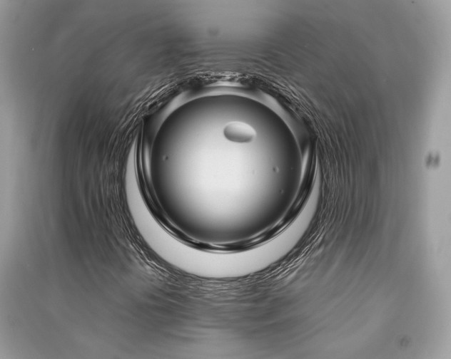 X0000091301394200708101258