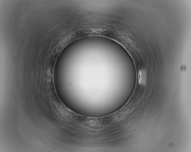 X0000091301395200708101258