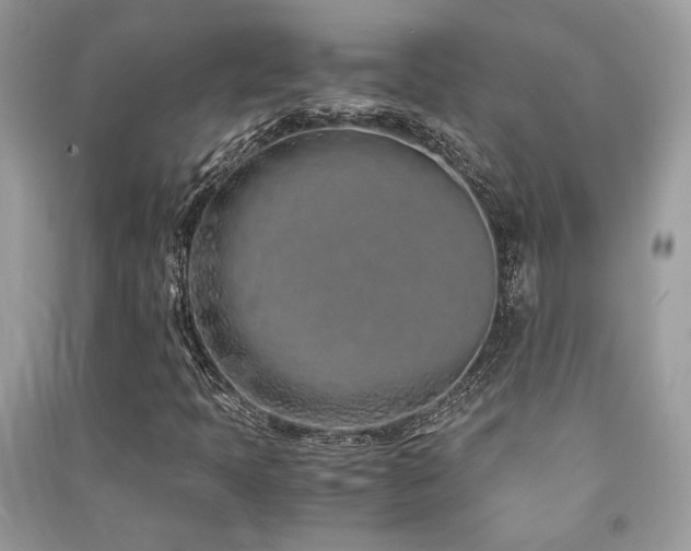 X0000091301397200708101258