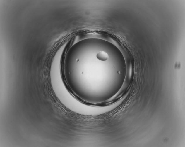 X0000091301398200708101258
