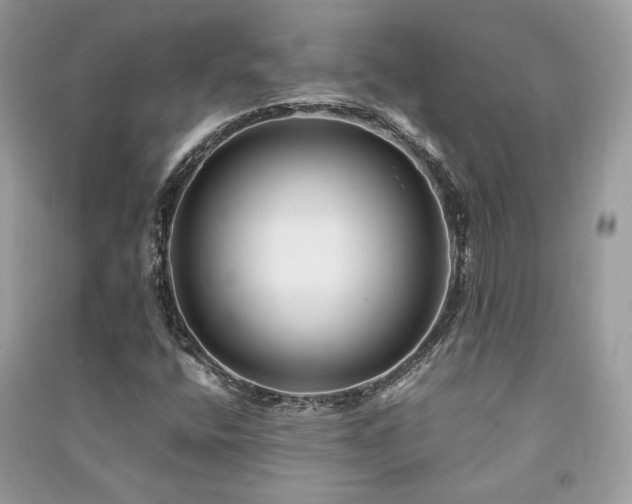 X0000091301400200708101258