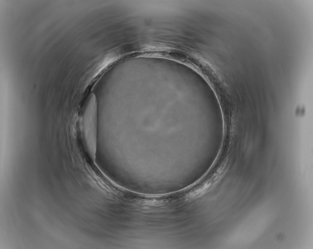 X0000091301401200708101258