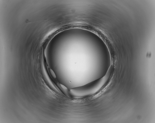 X0000091301402200708101258