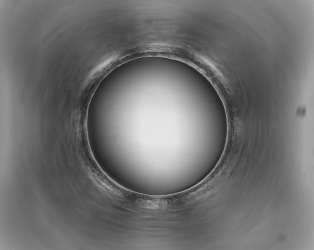 X0000091301403200708101258