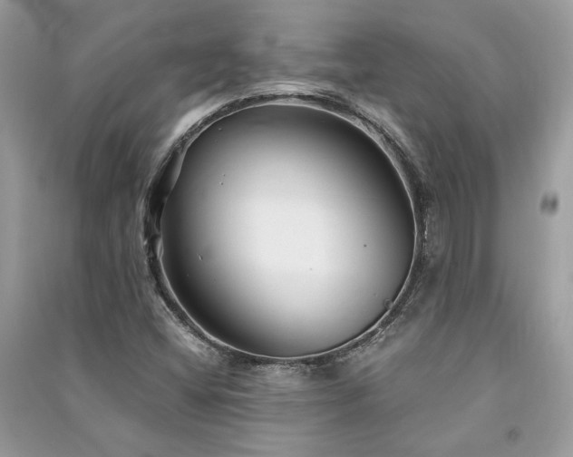 X0000091301404200708101258