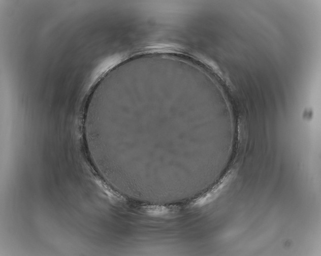 X0000091301405200708101258