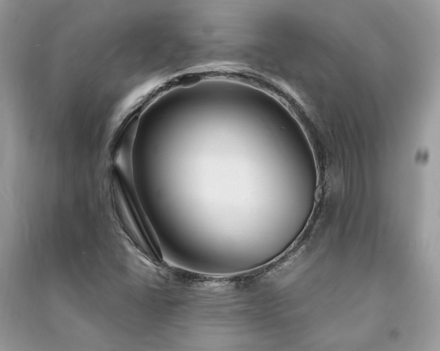 X0000091301406200708101258