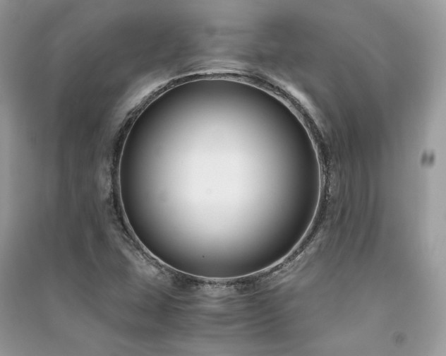 X0000091301407200708101258