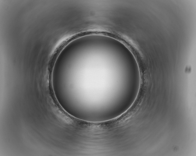 X0000091301408200708101258