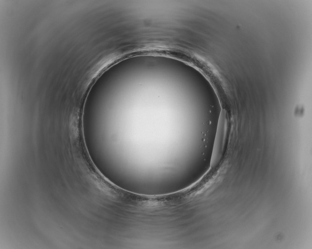 X0000091301409200708101258