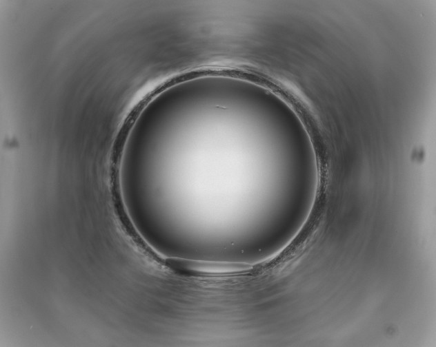 X0000091301412200708101258