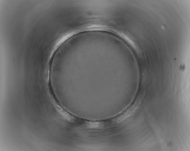 X0000091301413200708101258