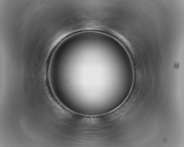 X0000091301415200708101258