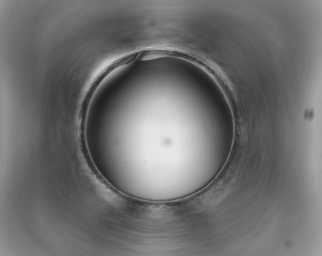 X0000091301416200708101258