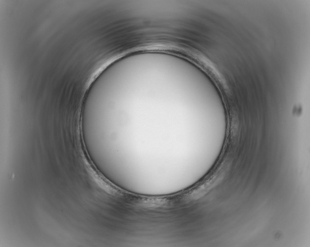 X0000091301417200708101258