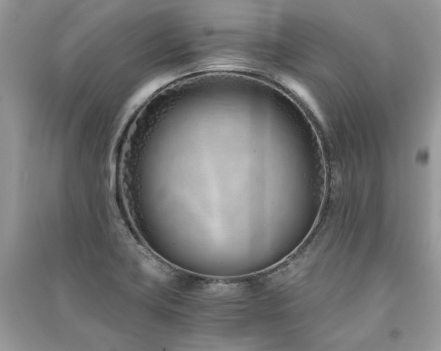 X0000091301419200708101258