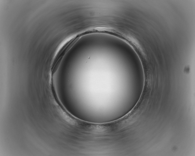 X0000091301420200708101258