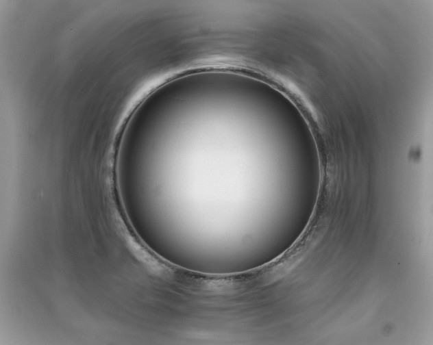 X0000091301421200708101258