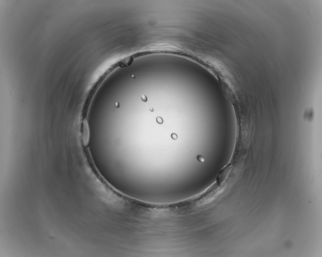 X0000091301422200708101258