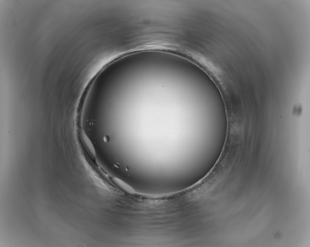 X0000091301423200708101258