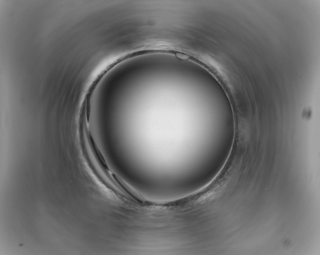 X0000091301424200708101258