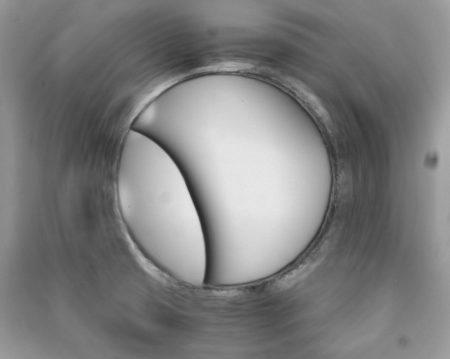 X0000091301425200708101258
