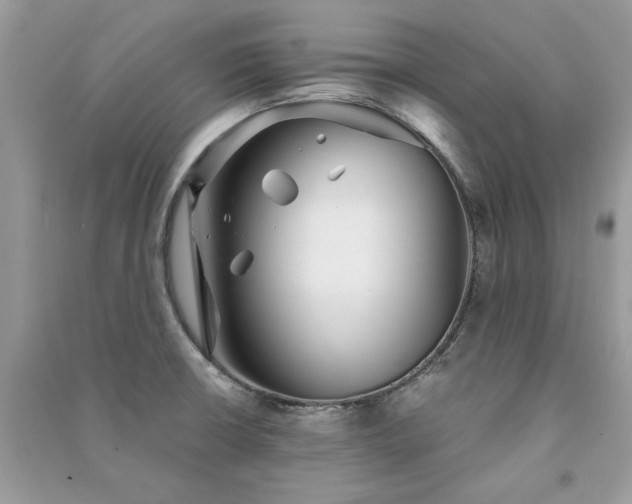 X0000091301426200708101258