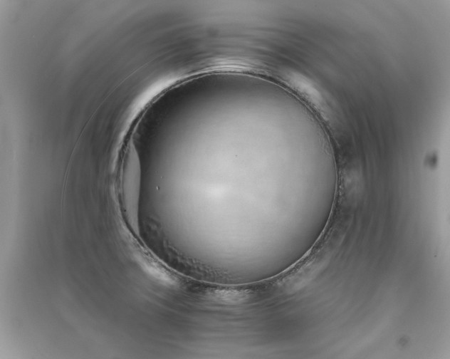 X0000091301427200708101258