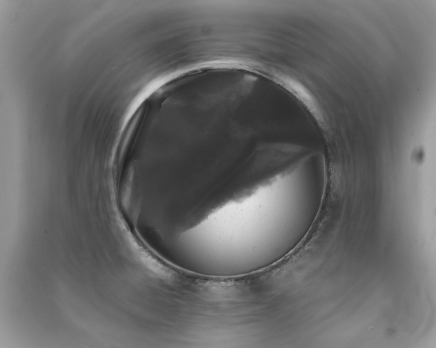 X0000091301428200708101258
